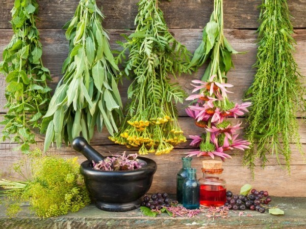 medicinal-herb-garden-600x450.jpg